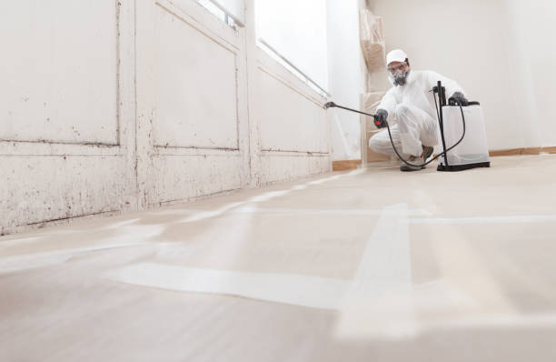24/7 Emergency Black Mold Remediation experts in Brick, NJ